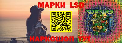 индика Ликино-Дулёво