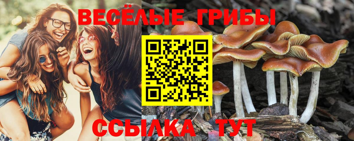 Галлюциногенные грибы прущие грибы Урай